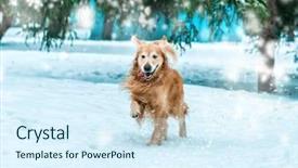  Presentation with winter walk by stream - PPT theme having rich continental breakfast menu delicious natural food for tasty morning meals on wooden table traditional european buffet background and a coral colored foreground