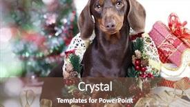 Presentation with cute christmas pug puppy dog - PPT theme featuring retriver - christmas wreath on neck dachshund background and a tawny brown colored foreground