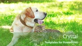  Presentation with cat dog - Amazing PPT layouts having retriver - friendly dog and cat resting backdrop and a tawny brown colored foreground