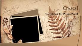  Presentation with flower vintage - Slide deck featuring retro-background-with-photo-frame background and a coral colored foreground