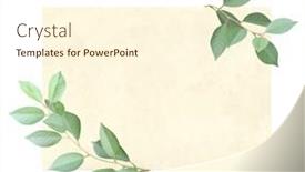  Presentation with eco paper - Slide deck featuring retro-card-with-blank-paper background and a cream colored foreground