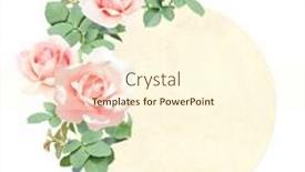  Presentation with pink rose - Colorful presentation theme enhanced with retro-card-with-branch backdrop and a cream colored foreground