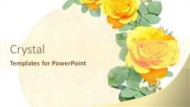  Presentation with yellow rose - Audience pleasing presentation theme consisting of retro-card-with-branch backdrop and a cream colored foreground
