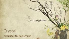 Presentation with grunge flower - Amazing slide set having retro grunge background with dry tree and flower arrangement backdrop and a soft green colored foreground