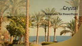  Presentation with retro - Cool new PPT layouts with retro image of beach backdrop and a mint green colored foreground