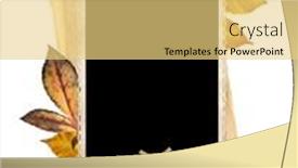  Presentation with scrapbooking - Slide deck with retro-photo-and-autumn-leaf background and a yellow colored foreground