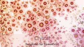  Presentation with floral abstract - Beautiful slides featuring retro-style-abstract-floral-background backdrop and a lemonade colored foreground