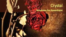  Presentation with abstract death - PPT layouts featuring retro vintage style photo death background and a tawny brown colored foreground