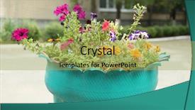  Presentation with tire - Slide set with reuse - old tire used as flowerbed background and a yellow colored foreground
