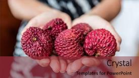  Presentation with fruit lychee - Presentation theme consisting of reveal a fresh white pulp background and a red colored foreground