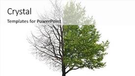  Presentation with green tree - Audience pleasing slides consisting of revival - one tree with one part backdrop and a white colored foreground