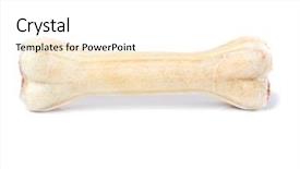  Presentation with artificial bone - Colorful presentation design enhanced with reward heatlh - artificial dog chew bone food backdrop and a white colored foreground