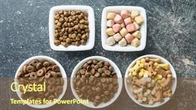  Presentation with foods - PPT layouts with reward heatlh - different dog foods in bowls background and a coral colored foreground
