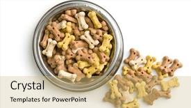  Presentation with dog food - PPT layouts enhanced with reward heatlh - dog food shaped like bones background and a yellow colored foreground