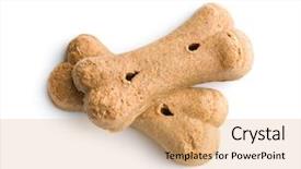  Presentation with dog food - Beautiful PPT layouts featuring reward heatlh - dog food shaped like bones backdrop and a coral colored foreground