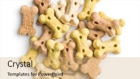  Presentation with dog food - Amazing theme having reward heatlh - dog food shaped like bones backdrop and a coral colored foreground