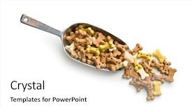  Presentation with dog food - Theme with dog food shaped like bones background and a white colored foreground