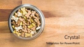  Presentation with dog bone chewing - Slides having reward heatlh - dog food shaped like bones background and a coral colored foreground