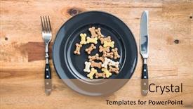  Presentation with dog food - Theme enhanced with reward heatlh - dog food shaped like bones background and a coral colored foreground