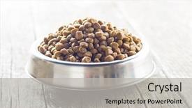  Presentation with dogs cats - PPT theme consisting of reward heatlh - dried food for dogs background and a  colored foreground