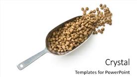  Presentation with dogs cats - Slide deck enhanced with reward heatlh - dried food for dogs background and a  colored foreground