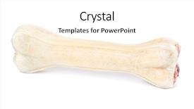  Presentation with artificial bone - Slide deck having reward heatlh - artificial dog chew bone food background and a white colored foreground