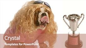  Presentation with lover - Slides featuring rewards recognition - funny english bulldog dressed background and a coral colored foreground