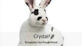  Presentation with 3d isolated t rex head - PPT theme with rex dalmatian rabbit standing up background and a lemonade colored foreground