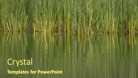  Presentation with czech republic - PPT theme consisting of rezabinec-pond-southern-bohemia-czech background and a tawny brown colored foreground