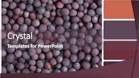  Presentation with seeds - Beautiful PPT theme featuring colorful rgb - background of black mustard seeds backdrop and a dark gray colored foreground
