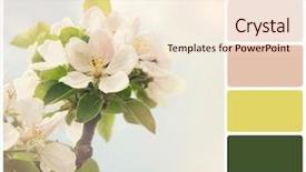  Presentation with springtime - Amazing theme having rgb cmyk color - apple blossom in springtime backdrop and a lemonade colored foreground