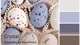  Presentation with candy - Colorful slide set enhanced with rgb cmyk color - background of candy eggs backdrop and a coral colored foreground