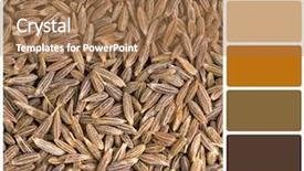 Presentation with cumin - PPT layouts consisting of rgb cmyk color - background of dried cumin seeds background and a coral colored foreground