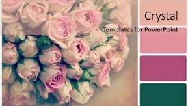  Presentation with color pink - Beautiful theme featuring rgb cmyk color - background pale pink rosebuds backdrop and a lemonade colored foreground