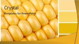  Presentation with corn cob - Beautiful PPT layouts featuring rgb cmyk color - corn on the cob background backdrop and a yellow colored foreground