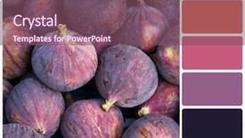  Presentation with background - Colorful PPT theme enhanced with rgb cmyk color - fresh fig background colour palette backdrop and a violet colored foreground