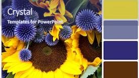  Presentation with sunflower sunflower sunflower sunflower sunflower - Presentation theme with rgb cmyk color - sunflower and allium background colour background and a navy blue colored foreground