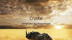  Presentation with park - PPT theme having rhino in etosha park background and a coral colored foreground