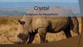  Presentation with kenya - Slides featuring rhino in masai mara park background and a light blue colored foreground