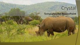  Presentation with game - Presentation enhanced with rhino-in-pilanesberg-game-reserve background and a light gray colored foreground