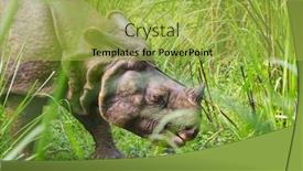  Presentation with eating - Slide set consisting of rhino-is-eating-the-grass background and a yellow colored foreground