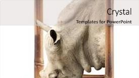  Presentation with effect - Beautiful PPT theme featuring 3d depth - rhinoceros in bamboo frame backdrop and a light gray colored foreground