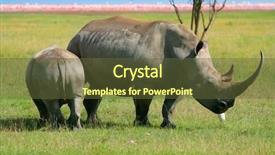  Presentation with kenya - Cool new presentation theme with rhinoceros in the wild africa kenya lake nakuru backdrop and a tawny brown colored foreground