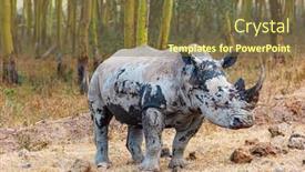  Presentation with dry ice co2 - Presentation design consisting of rhinoceros-is-a-resident background and a tawny brown colored foreground