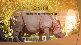  Presentation with autumn - Theme enhanced with rhinoceros-on-a-warm-autumn background and a gold colored foreground