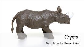  Presentation with toy - Presentation theme enhanced with rhinoceros toy isolated on white background and a white colored foreground