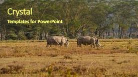  Presentation with about kenya - Audience pleasing PPT theme consisting of rhinos in masai mara park backdrop and a tawny brown colored foreground