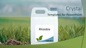  Presentation with promote - Presentation theme consisting of rhizobia-beneficial-bacteria-that-promote background and a light blue colored foreground