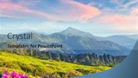  Presentation with summer flowers - Audience pleasing presentation theme consisting of rhododendron-flowers-covered-mountains-meadow backdrop and a light blue colored foreground