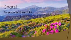  Presentation with summer time - PPT layouts enhanced with rhododendron-flowers-covered-mountains-meadow background and a light blue colored foreground